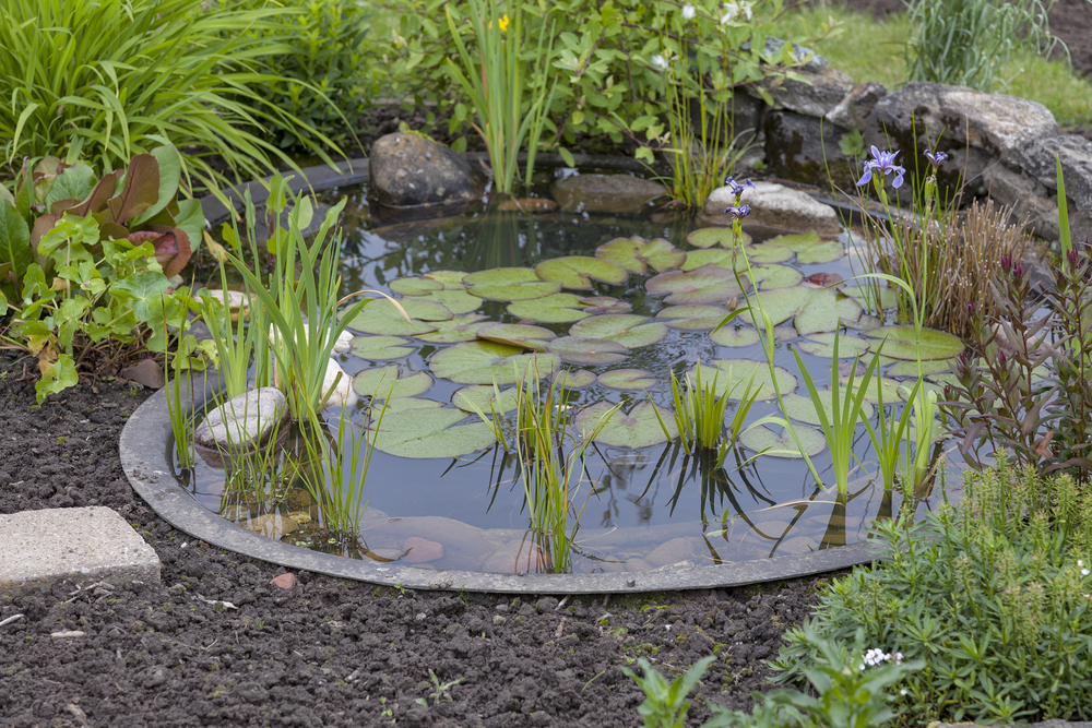 4 astuces pour entretenir un bassin de jardin
